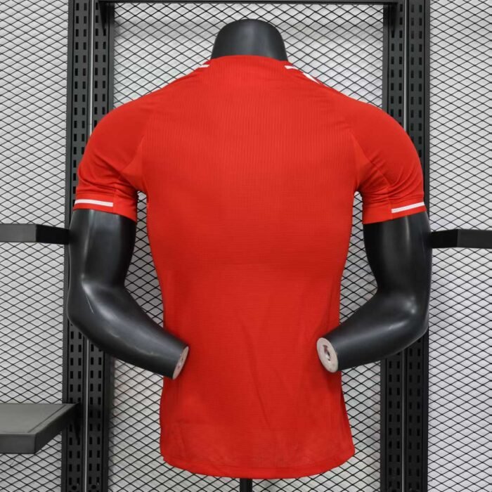 858457f535023f198b23f6987b414437 1 Joyfball Football Jerseys|cheap Soccer Jerseys